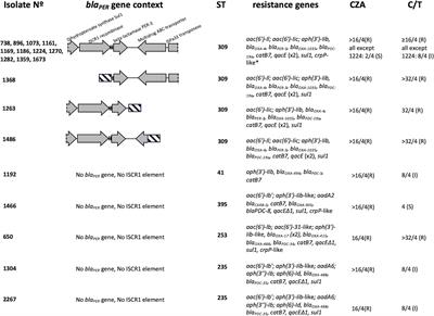 Ceftazidime/avibactam resistance is associated with PER-3-producing ST309 lineage in Chilean clinical isolates of non-carbapenemase producing Pseudomonas aeruginosa